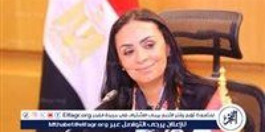 التضامن الاجتماعي: 257 مليون جنيه منحًا لدعم 206 جمعية ومؤسسة أهلية خلال 6 أشهر - زاجل الإخباري