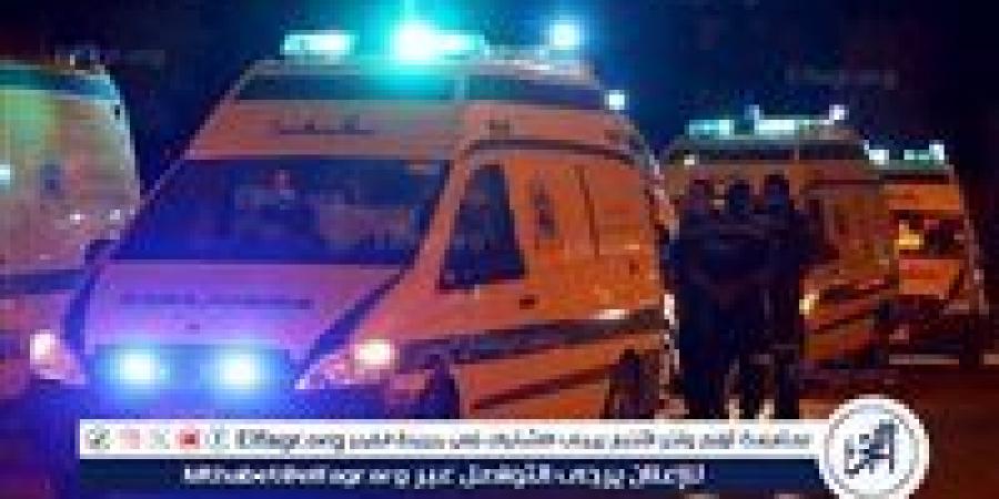 حبس المتهمين في مشاجرة دامية بالهرم انتهت بمقتل شاب طعنًا بسلاح أبيض - زاجل الإخباري