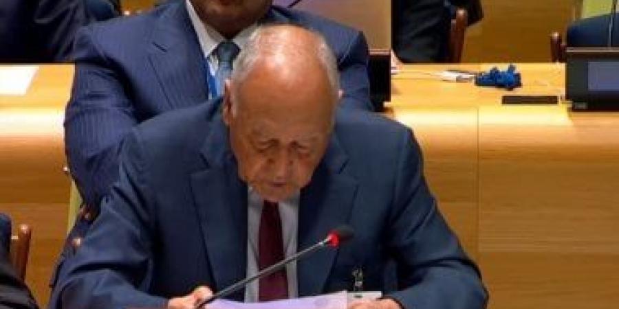 أمين عام جامعة الدول العربية يرحب بإعلان نيويورك لدعم حل الدولتين وإقامة دولة فلسطينية - زاجل الإخباري
