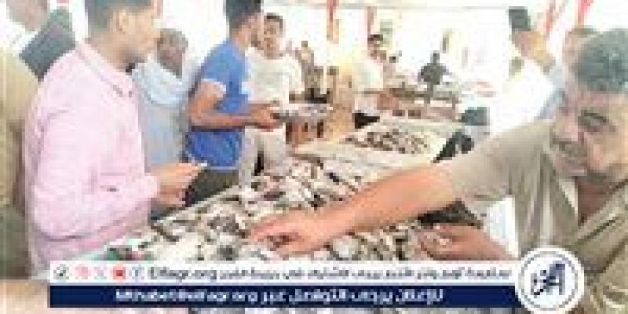 أسعار السمك اليوم الاحد 14-9-2025 في محافظة قنا - زاجل الإخباري