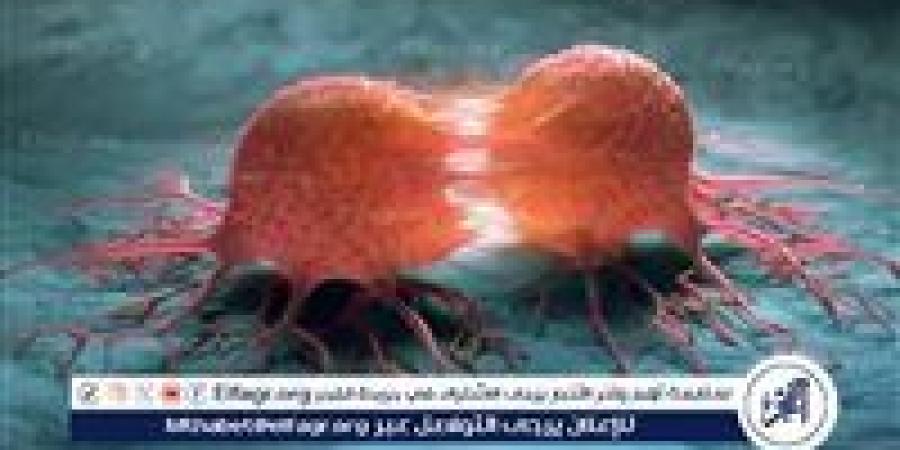 أطعمة طبيعية تساعد في تقليل خطر الإصابة بالسرطان - زاجل الإخباري