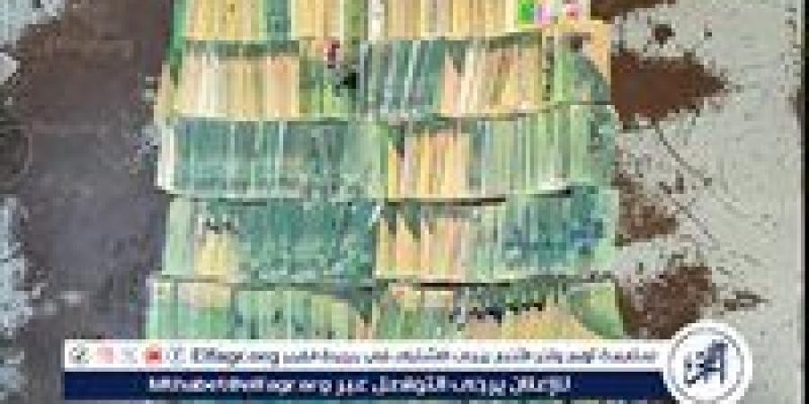 ضبط 1055 بطاقة تموينية داخل مخبز بالمخالفة للقانون فى أسيوط - زاجل الإخباري