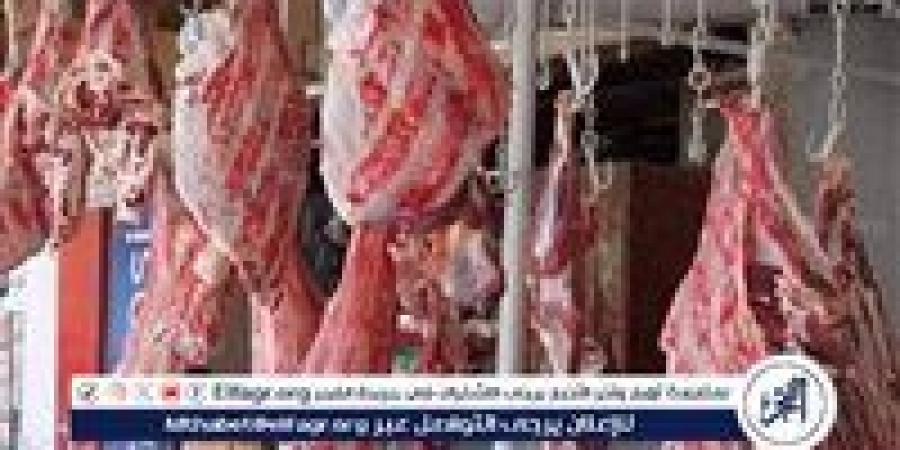 أسعار اللحوم اليوم الثلاثاء الموافق 16-9-2025 فى سوهاج - زاجل الإخباري