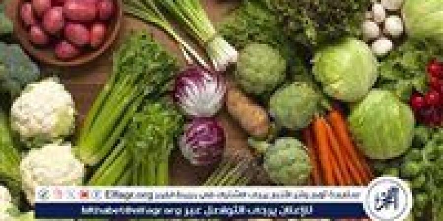 ارتفاعات في أسعار الخضروات بأسواق المنيا اليوم الثلاثاء 16 سبتمبر 2025 وسط ضغط على بعض الأصناف - زاجل الإخباري