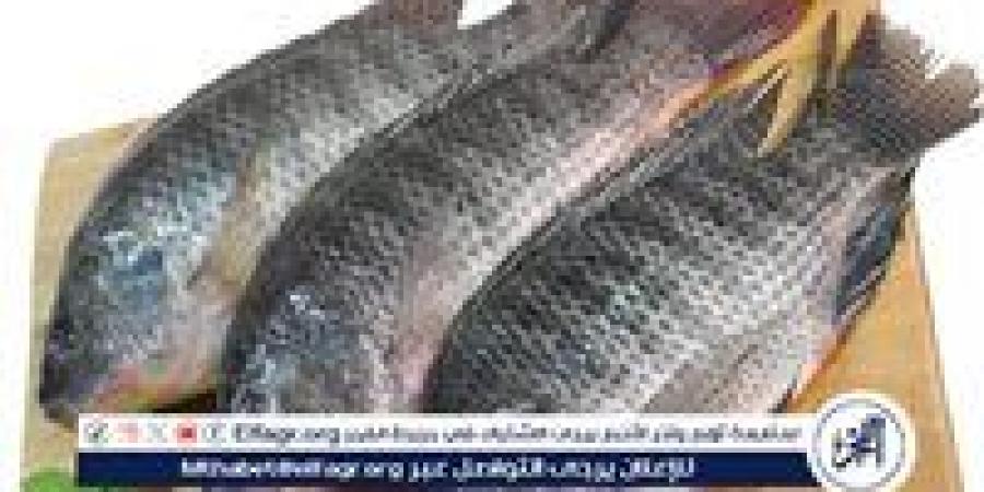 استقرار أسعار الأسماك اليوم الثلاثاء في الغربية - زاجل الإخباري