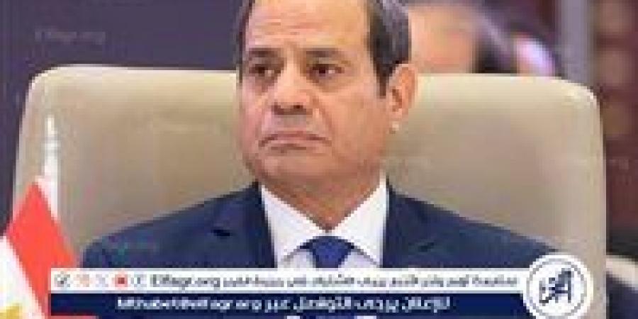 ضياء رشوان: كلمة السيسي بالقمة العربية الإسلامية تؤكد الصراحة والانحياز للقضية الفلسطينية - زاجل الإخباري