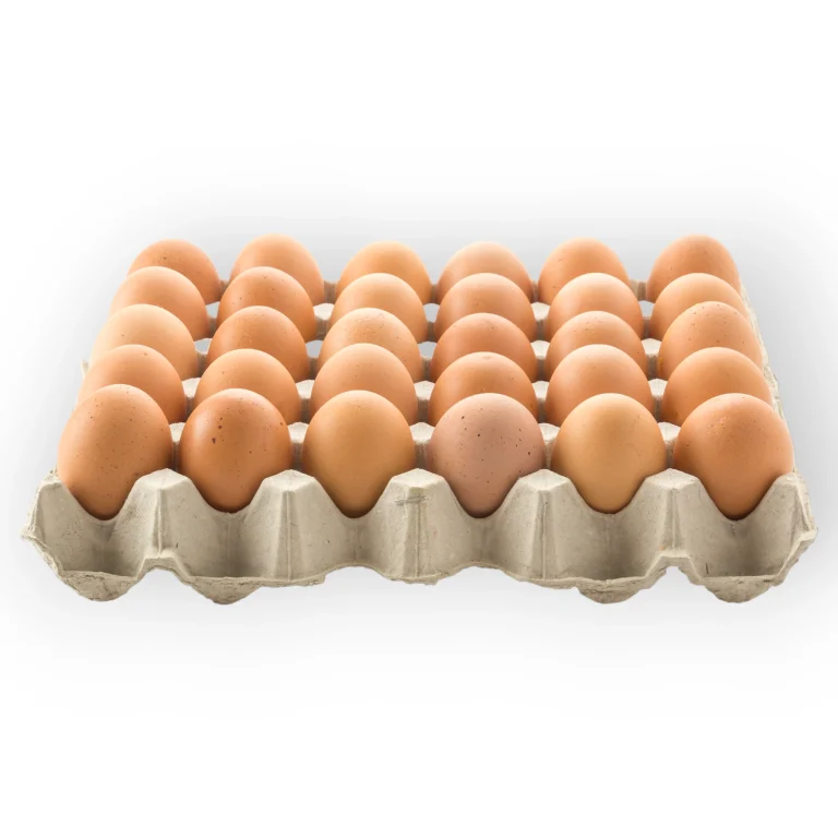 شعبة بيض المائدة»: لا زيادة في الأسعار خصوصا خلال شهر رمضان