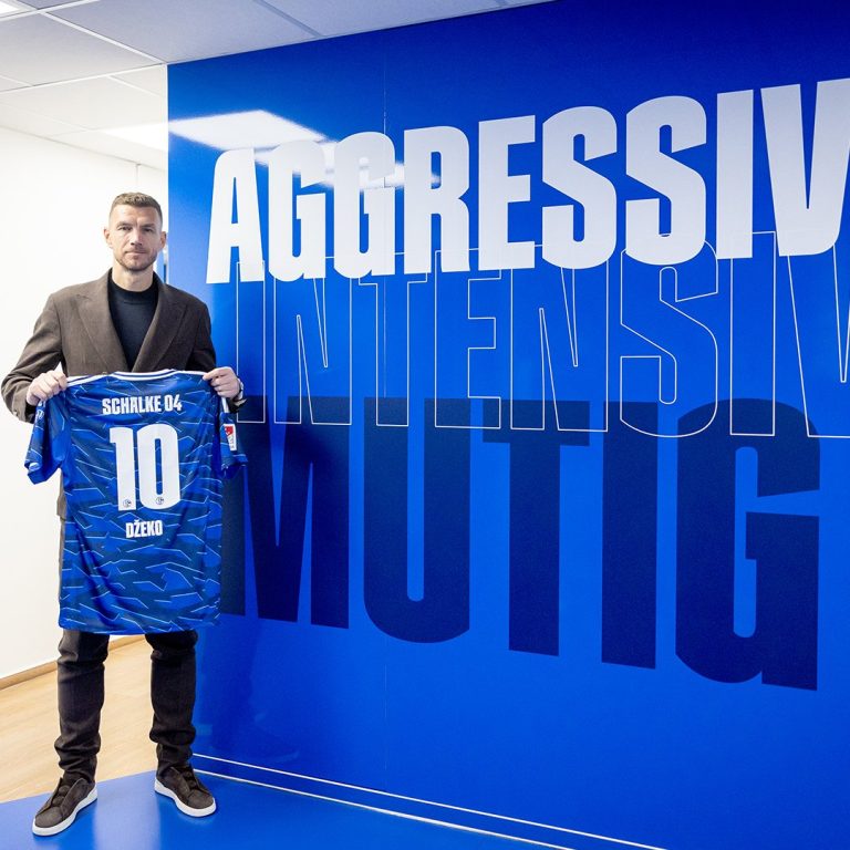 رسميا ينضم المهاجم المخضرم دجيكو لصفوف شالكه