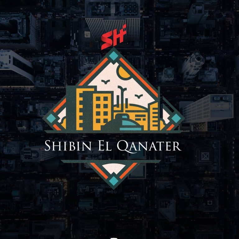 عاجل.. جريمة تهز شبين القناطر