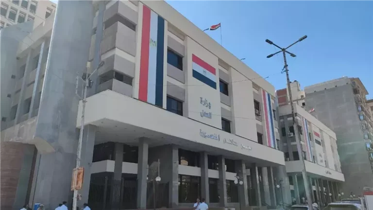 غدًا، أولى جلسات محاكمة سائق محافظ الدقهلية وطالب الطب والتهمة تجارة “الأوكسي”