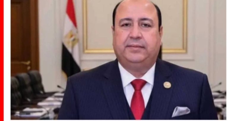 الحراك الدبلوماسي المصري السعودي يمثل حجر الزاوية في حفظ الأمن القومي العربي