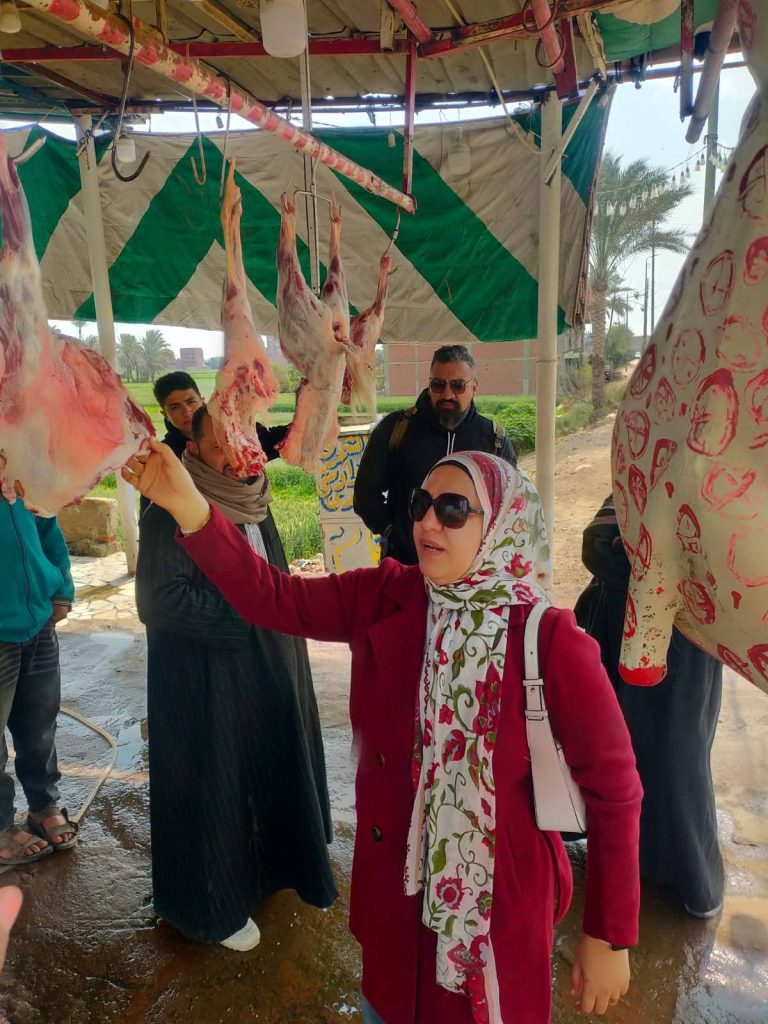 الأجهزة التنفيذية والرقابية تقوم بحملات مكثفة للتفتيش على السلع الغذائية والمخابز والسوبر ماركت بمركز ومدينة شبين القناطر