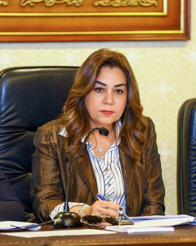 التنمية المحلية تتابع حملات التفتيش بالقاهرة والقليوبية والجيزة.. إنهاء 833 معاملة متأخرة ورفع 1000 طن مخلفات بالخصوص