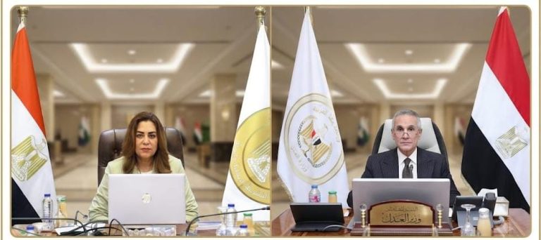 وزيرا العدل والتنمية المحلية والبيئة يشهدان بدء تشغيل 6 فروع توثيق في 5 محافظات بمجمعات الخدمات الحكومية بقري «حياة كريمة»