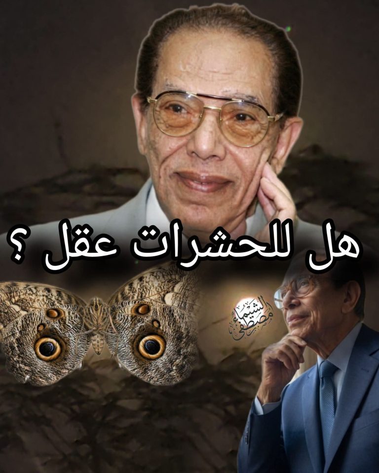 هل للحشرات عقل؟.. سلوكيات مدهشة تفتح باب التأمل في عظمة الخالق